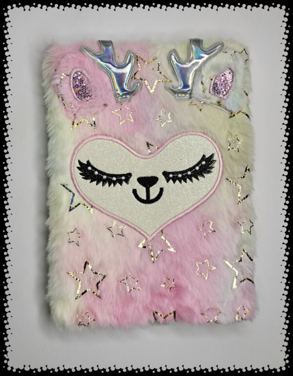 Fancy Diary for girls